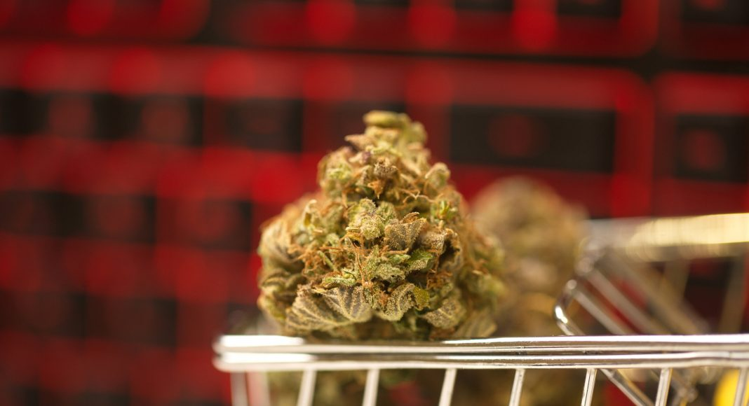 The Ultimate Guide to Buying Weed Online in Canada